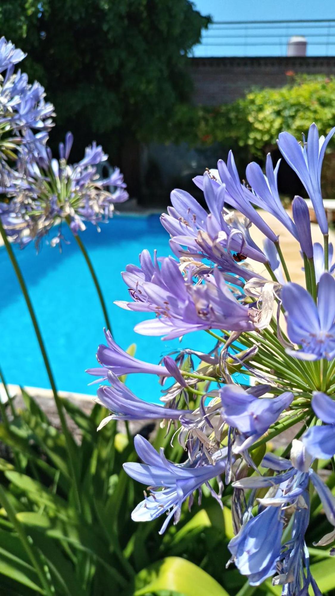 Holiday home Club, 3 Cerca Del Aeropuerto El Palomar *